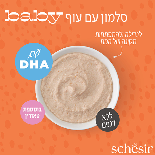מעדן לחתול שזיר חתלתולים מוס סלמון 70 גרם
