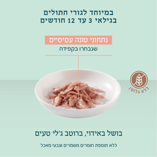 מעדן לחתול שזיר חתלתולים פאוץ' טונה 85ג