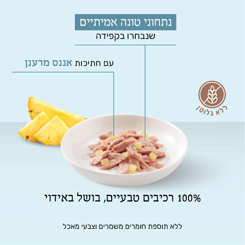מעדן לחתול שזיר מעדן טונה עם אננס 75 גר'