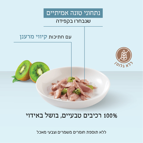 מעדן לחתול שזיר מעדן טונה עם קיווי 75 גר'