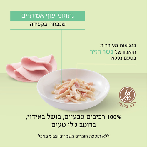 מעדן לחתול שזיר מעדן נתחוני עוף עם חזיר בג'לי 85 גרם
