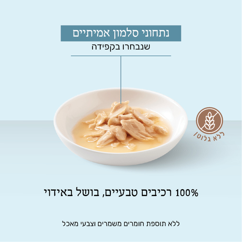 מעדן לחתול שזיר מעדן שזיר מעדן סלמון טבעי 85 גרם