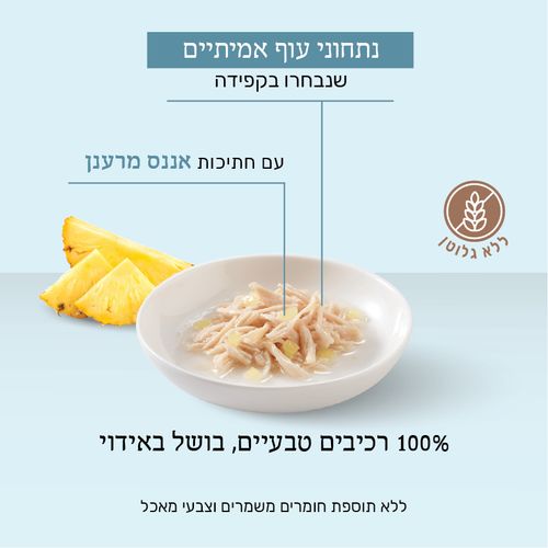 מעדן לחתול שזיר מעדן נתחוני עוף עם אננס 75 גרם