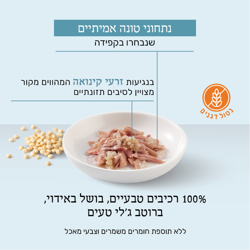 מעדן לחתול שזיר מעדן טונה עם קינואה בג'לי 85 גרם