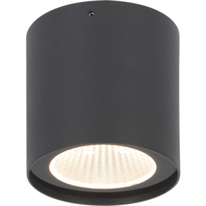 צילינדר אפור Eurolux