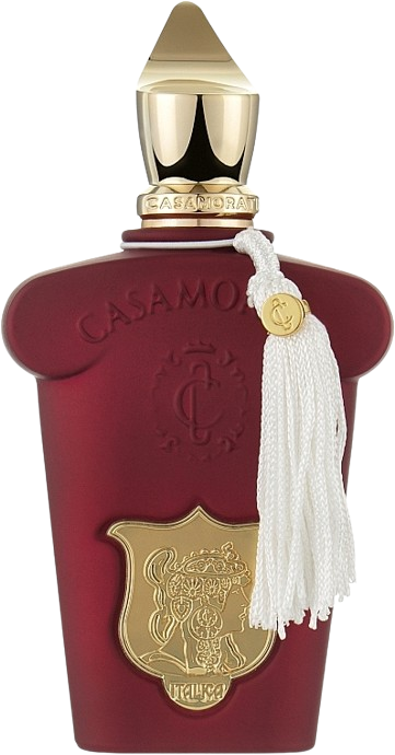 Casamorati Italica 100ML EDP קאסהמורטי איטליקה לאישה