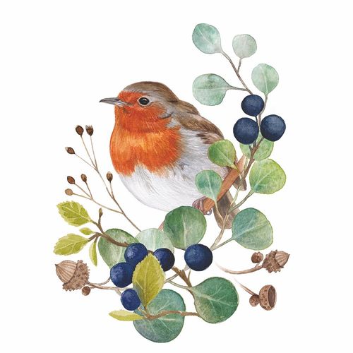 חבילת מפיות ציפור Oiseau sur Branche
