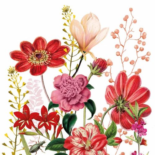חבילת מפיות פרחים Floria