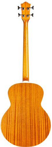 זוית נוספת Guild B-140E