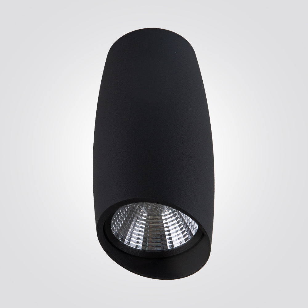 צלינדר תקרה מיאנמר 10W שחור CCT