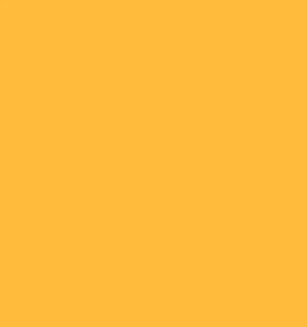רקע נייר לצילום Emily Forsythia Yellow 2.72X10 #14