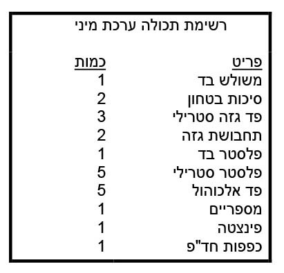 תיק עזרה ראשונה