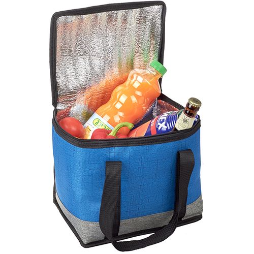צידנית 14 ליטר עם שתי ידיות נשיאה