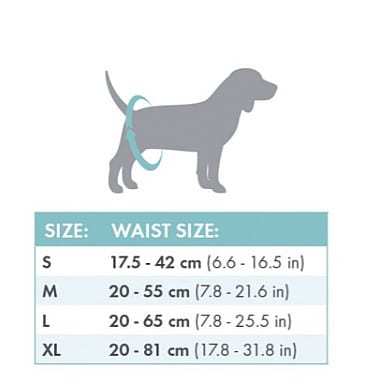 אמ פטס M-Pets חיתולים לכלבים גדולים L זכרים 12 יח