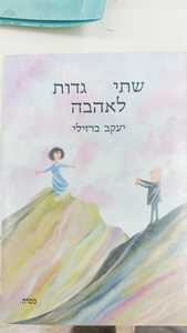 שתי גדות לאהבה (יד 2) - יעקב ברזילי מסדה