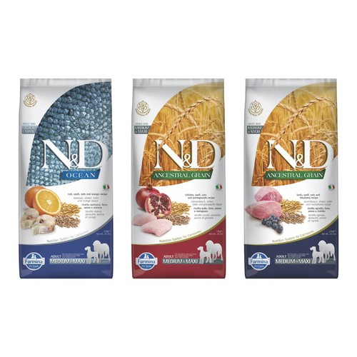 נטורל אנד דלישס (Natural & Delicious) – אוכל טבעי ואיכותי לכלבים