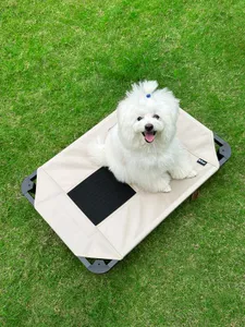 מיטת טרמפולינה מוגבהת לכלבים Pets Project