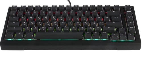 מקלדת מכנית Ducky ProjectD Tinker 75 Cherry