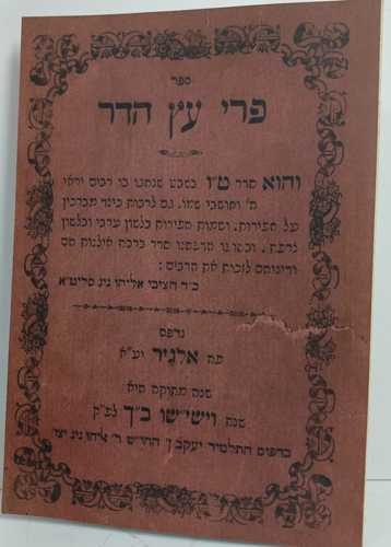 פרי עץ הדר - אלג'יר