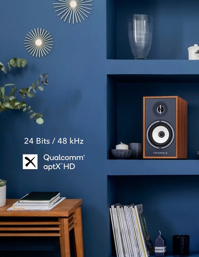 Triangle BR02 CONNECT 