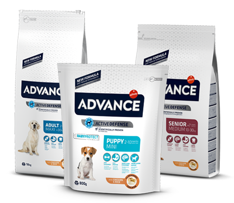 אוכל לכלבים אדוונס (Advance) – מדריך מקיף