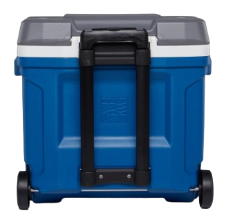 ידנית קשיחה 28 ליטר איגלו Igloo Latitude 28L