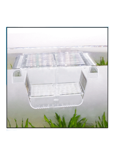 תא השרצה קטן Fish Hatchery WT-2003 S