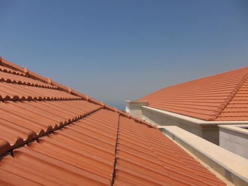 רעף מרסלייז ספרדי כתום  BMI Virtus NATURAL RED