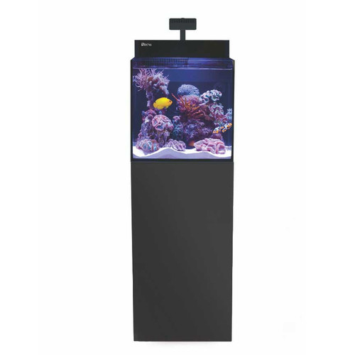 רד סי מקס נאנו XL שחור G2