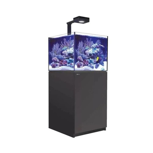 רד סי אקווריום ריפר 200 +G2 שחור