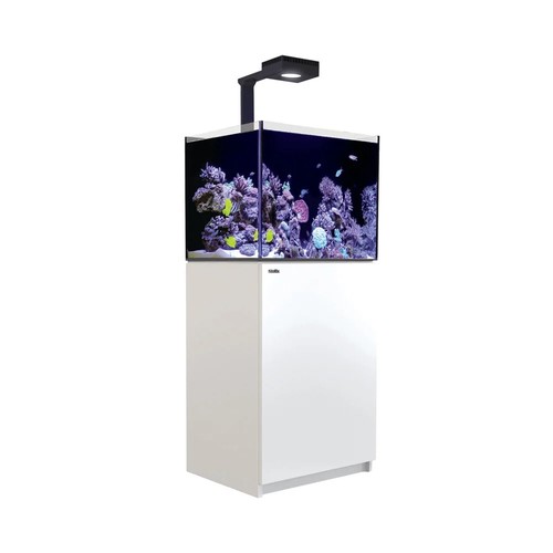 רד סי אקווריום ריפר 200 +G2 לבן