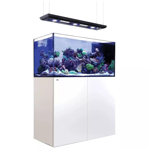 רד סי אקווריום ריפר פנינסולה 500 +G2 לבן