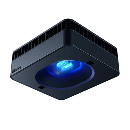 רד סי תאורה ריף לד ReefLed G2 115