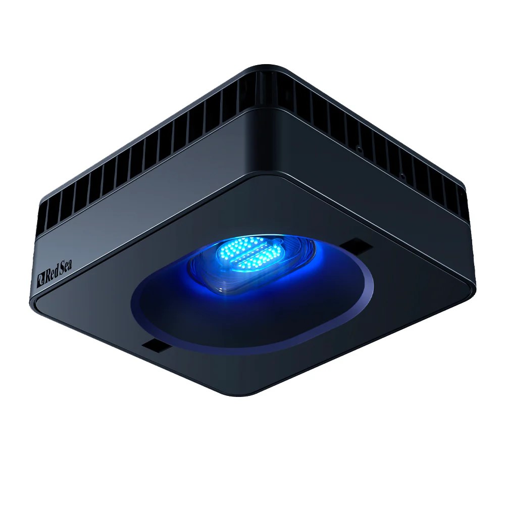 רד סי תאורה ריף לד ReefLed G2 170