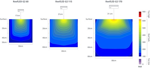 רד סי תאורה ריף לד ReefLed G2 170