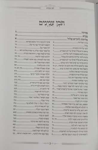 המגיד ממקנס - ימים נוראים