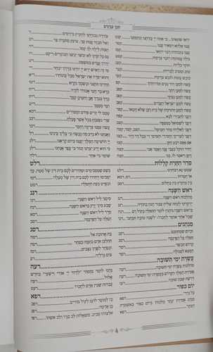 המגיד ממקנס - ימים נוראים
