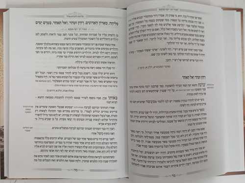 המגיד ממקנס - ימים נוראים