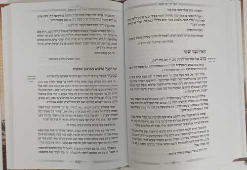 המגיד ממקנס - ימים נוראים