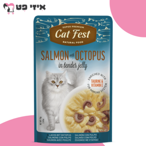 פאוץ