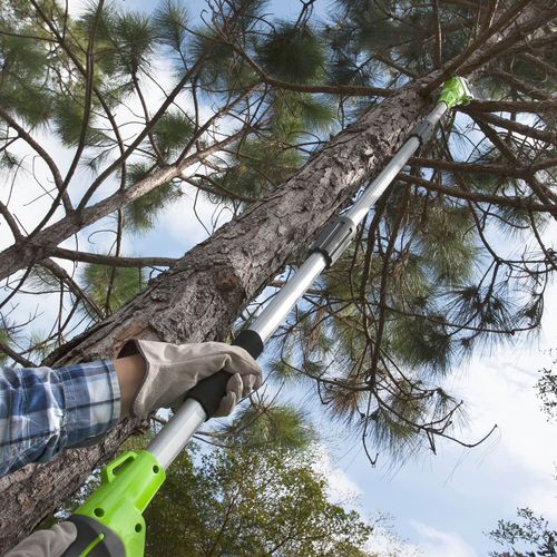 מסור גבהים נטען GREENWORKS 24V דגם 99502-7 עם מוט 2.62 מטר ולהב 8 אינץ', מערכות בטיחות מתקדמות לגיזום מקצועי בגובה