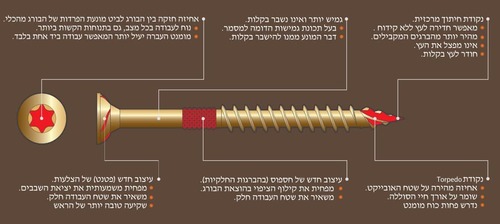 ברגים לעץ/סיבית טורפדו כוכב במידות שונות - אריזה