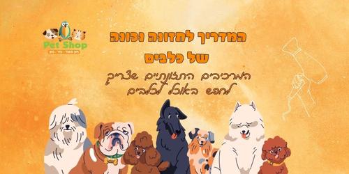 תזונה נכונה לכלב | פטשופ