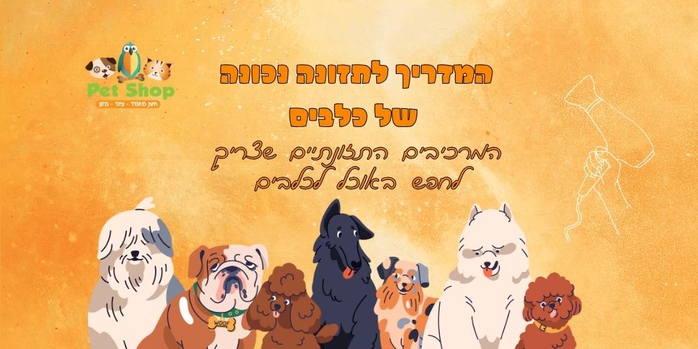 מדריך לתזונה נכונה לכלבים שכל בעל כלב חייב לקרוא