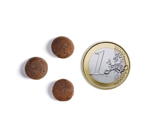 אמברוסיה עוף וירקות היפואלרגני 12 ק