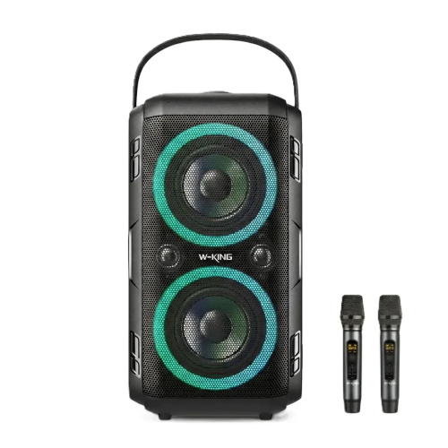 w-king רמקול קריוקי T9-II 80W שני מיקרופונים