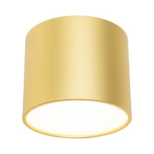 צילינדר זהב KAMILA 7W 3CCT Nisko