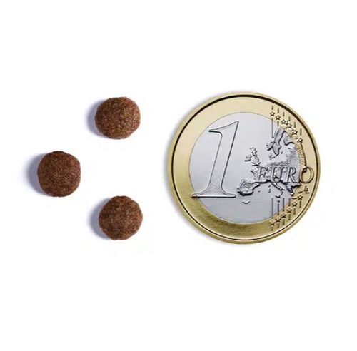 אמברוסיה סניור לייט סלמון והודו היפואלרגני 6 ק
