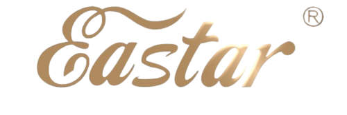 ערכת כינור מלאה 4\4 EVA-3 מבית EASTAR