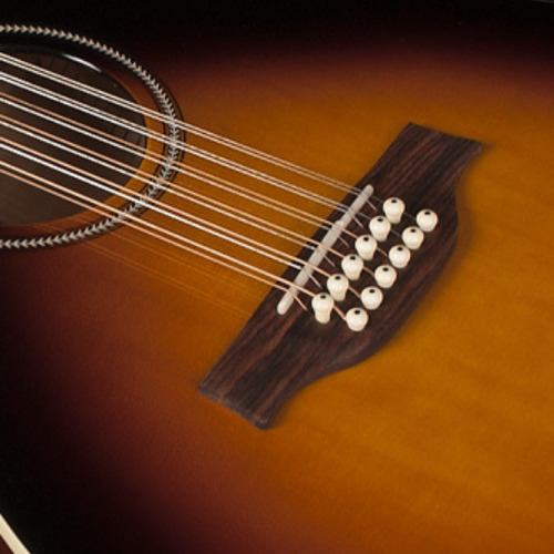 גיטרה אקוסטית 12 מיתרים מוגברת דגם S12 CONCERT HALL CW מבית Seagull